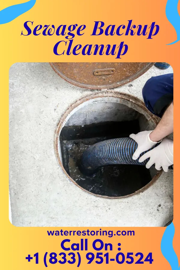 Sewage Backup Cleanup in Karnak, IL